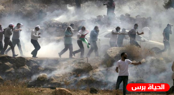 إصابة العشرات في مواجهات مع الإحتلال في بيت دجن